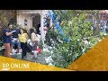 Amateurvideo Zeigt Unglück: Umstürzender Baum Erschlägt Menschen Bei Fest Auf Madeira