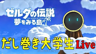 【ゼルダの伝説　夢をみる島】だし巻き大学生が夏の終わりに夢を見る　ダンジョン1～3　#1