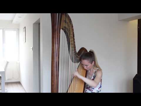 Theme et variations Marcel Tournier