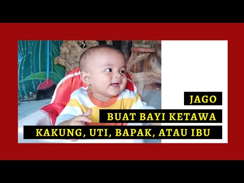 BAYI 7 bulan KETAWA NGAKAK, BAYI GEMAS, BAYI LUCU, GUYONAN BAYI #bayiimut