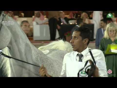 N 206 YAMAMAT AL KHALIDIAH   KAAHC 2019   Mares 10+ Years Old Class 6A