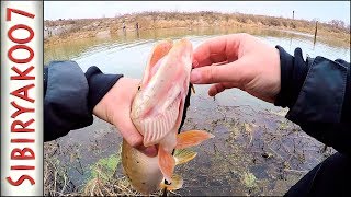 Рыбалка ультралайт что это такое