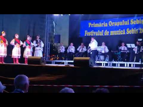 Ansamblul "Doina Crişului" Ineu