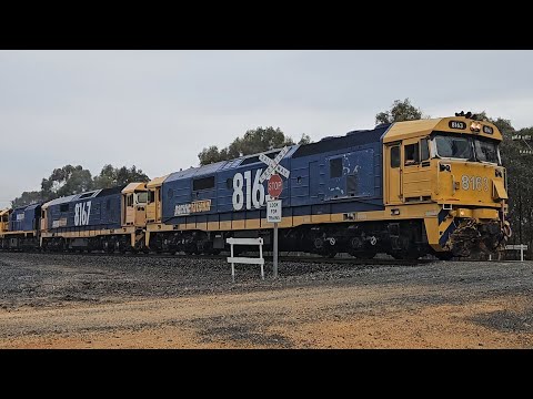 7731V PN empty grain (8163+8167+XR559), Geelong to Murtoa, 1617, 6/12/24, Deep Lead VIC