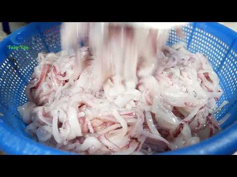 UY TÍN - CHẤT LƯỢNG: Tôm giống Tuấn Vân 2024