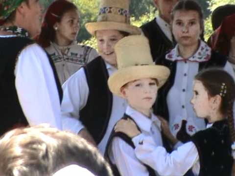 oteloaia 2010 homorod de mijloc satu mare