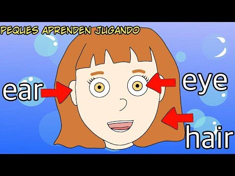 Partes de la cara en inglés para niños  Partes de la cabeza en inglés  Peques Aprenden jugando
