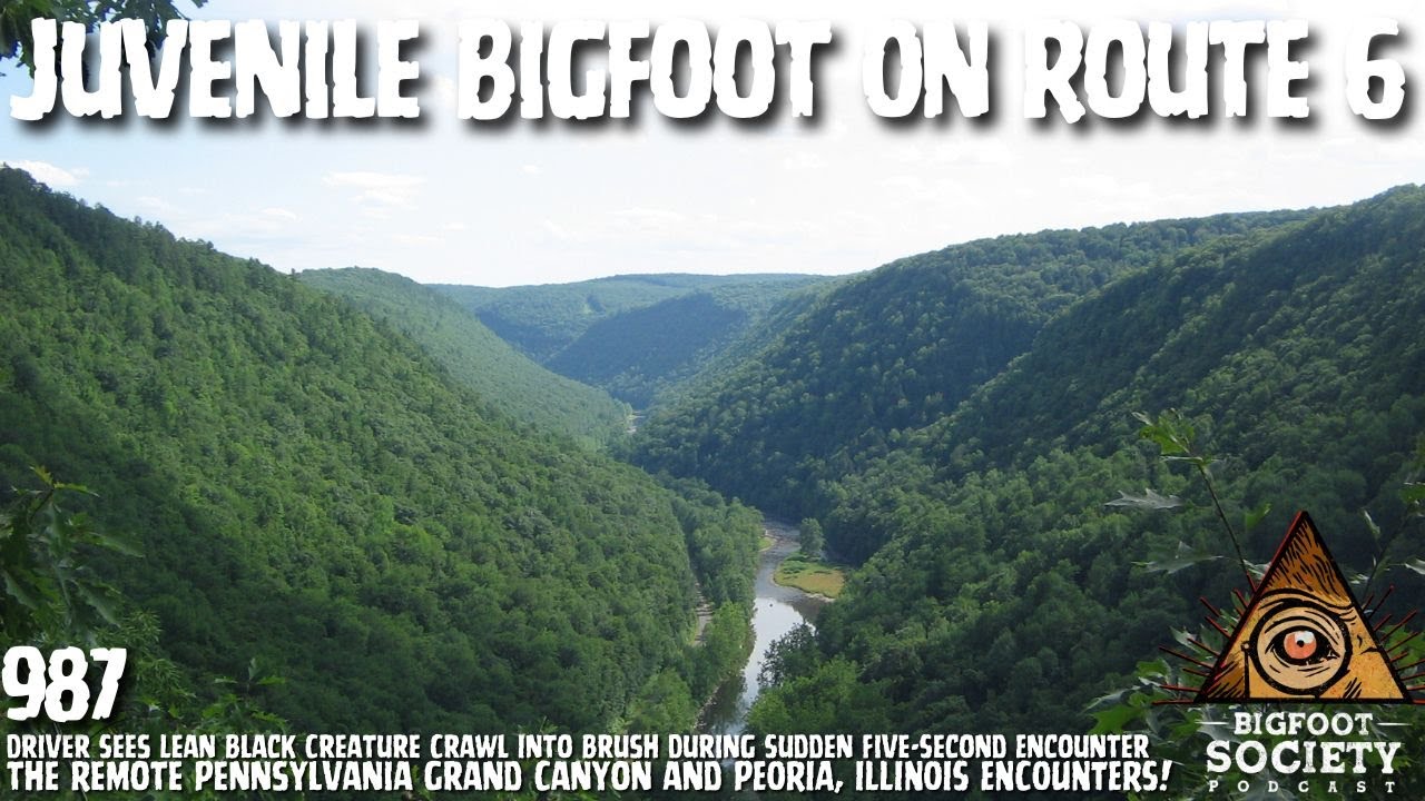 Driver Spots Juvenile Bigfoot Near Pennsylvania Grand Canyon / Peoria, Illinois Updates!