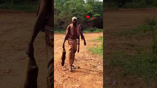Download lagu He came out with a big grasscutter #hunting #hunter mp3