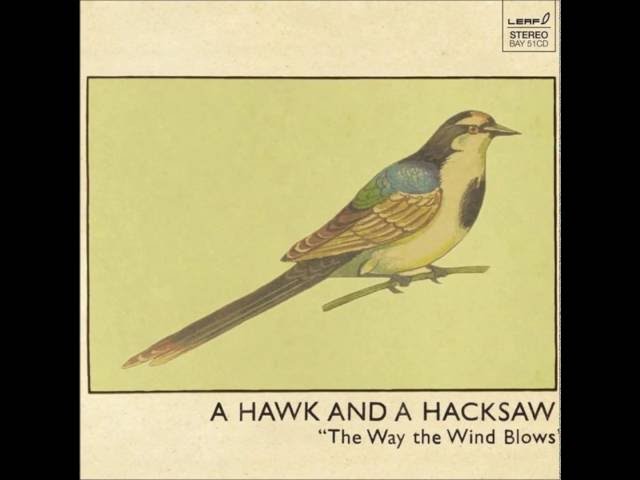 A Hawk and a Hacksaw: Una aventura musical única