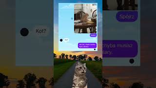 #memes #capcut #cat #polska #śmieszne