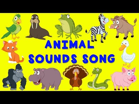 Animal Sounds Song - Can You Identify the Animal