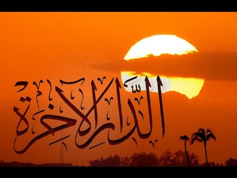  (( تِلْكَ الدَّارُ الْآخِرَةُ )) خطبة الجمعة 27 11 2015 لفضيلة الشيخ مصطفى العدوي 