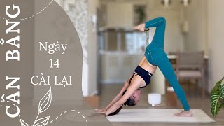 Ngày 14 - CÀI LẠI | 30 Ngày Yoga CÂN BẰNG (2024) | Yoga By Sophie
