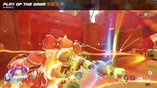 シオンPOTG