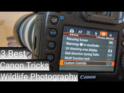 3 BEST CANON TRICKS || 7d MKii || Step up your wildlife photography