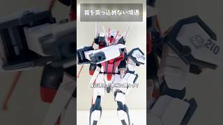 首を突っ込めない境遇 #gundam #gunpla #ガンプラ #ガンダム  #ガンダムSEED #short  #shorts