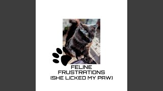 Feline Frustrations (She Licked my Paw)
