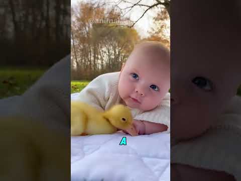 Duck Hugging a Cute Baby | #animals #funnyanimals #animalvideos