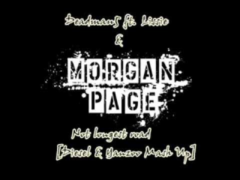 Deadmau5 & Morgan Page ft.Lissie - Not longest road (Diesel & Yanzoo Mash Up)