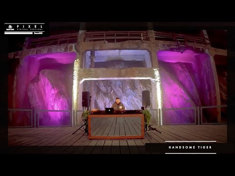 Handsome Tiger: Pixel 2021