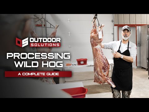 A Complete How To Process Wild Hog Tutorial