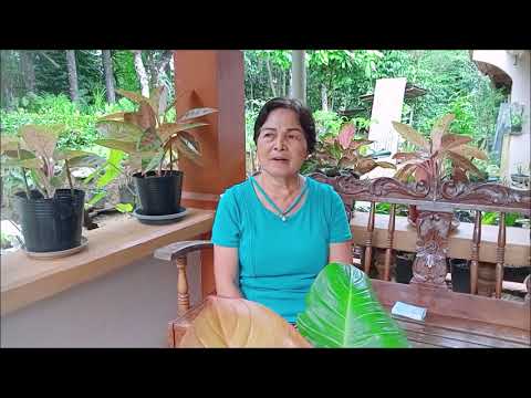 An interview with Albina E Uli: A Parent with Successful Children ❣️