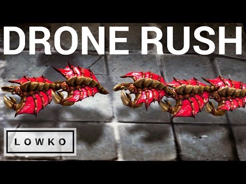 StarCraft 2: DRONE RUSH vs DRONE RUSH!