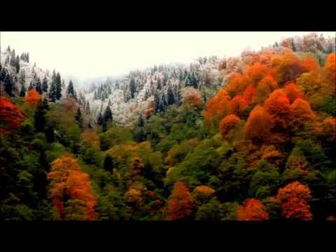 CEM YAZICI- SOLO TULUM KAYDI...