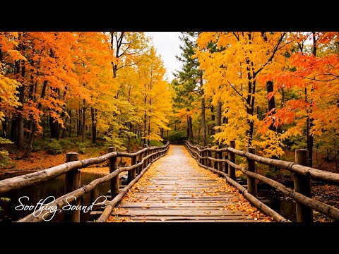 Beruhigende Herbstmelodien 🍁 Stressabbau und emotionale Heilung