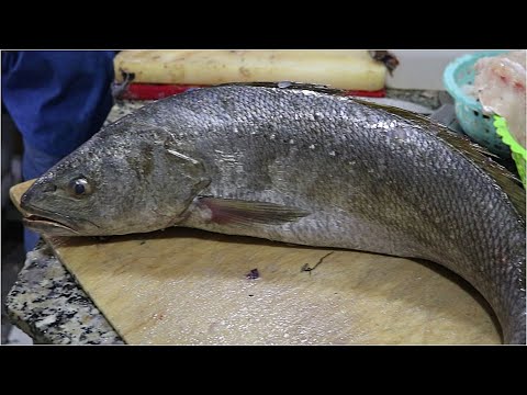 GRAPHIC HOW TO CLEAN AND FILLET FISH | MEAGRE