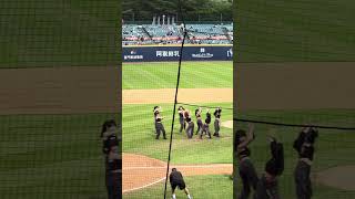 【Fubon Angels】@新莊棒球場 20241010 #台湾チア #cheerleading #cheerdance #fubonangels