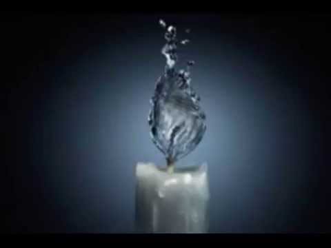 Poesia - PRIMULE ROSSE - Gianny Mirra