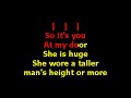 The Flys - She's So Huge (Custom Karaoke Video)
