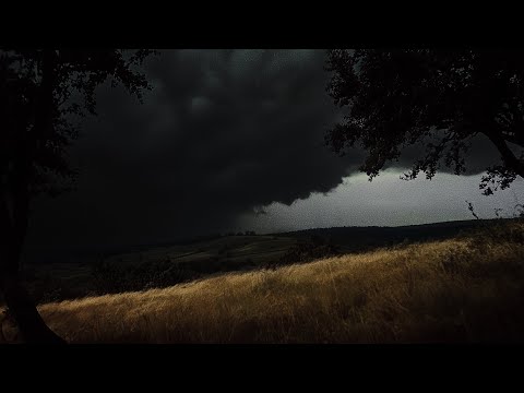 Ominous Thunderstorm Approaches you in Mountains | Between two Trees | Full Storm&Rain | 3 HOURS