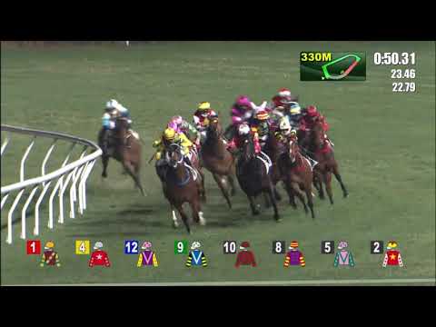 20/1/2021 (356) Wood On Fire - Derek Leung