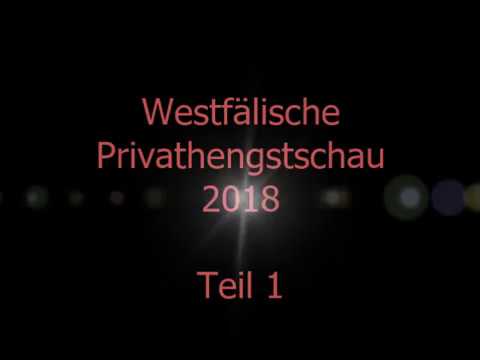 Westfälische Hengstschau Münster-Handorf 2018 - Teil I