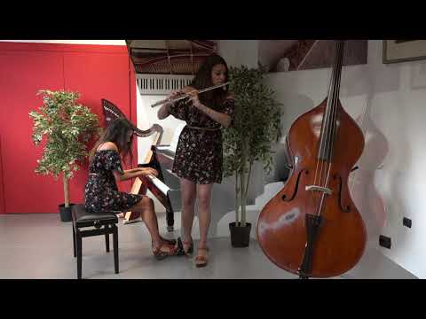 Benjamin Godard Valse dalla Suite de trois morceaux Op.116 esegue Floriana Franchina