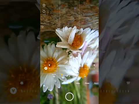 creative flower photography #closeupphotography #photography #nature #flowers