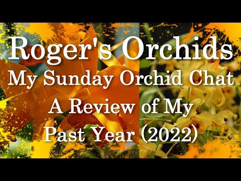 , title : 'My Sunday Orchid Chat - A Review of My Past Year'