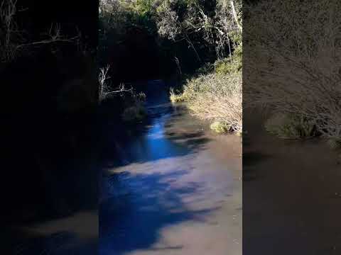 Arroyo Isabel, sobre ruta provincial 4, entre Bonpland y Almafuerte #misiones #bonpland #almafuerte