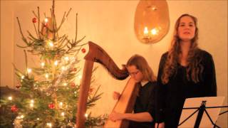 In praise of christmas - LYRICS - celtic harp version by Förgätmigej