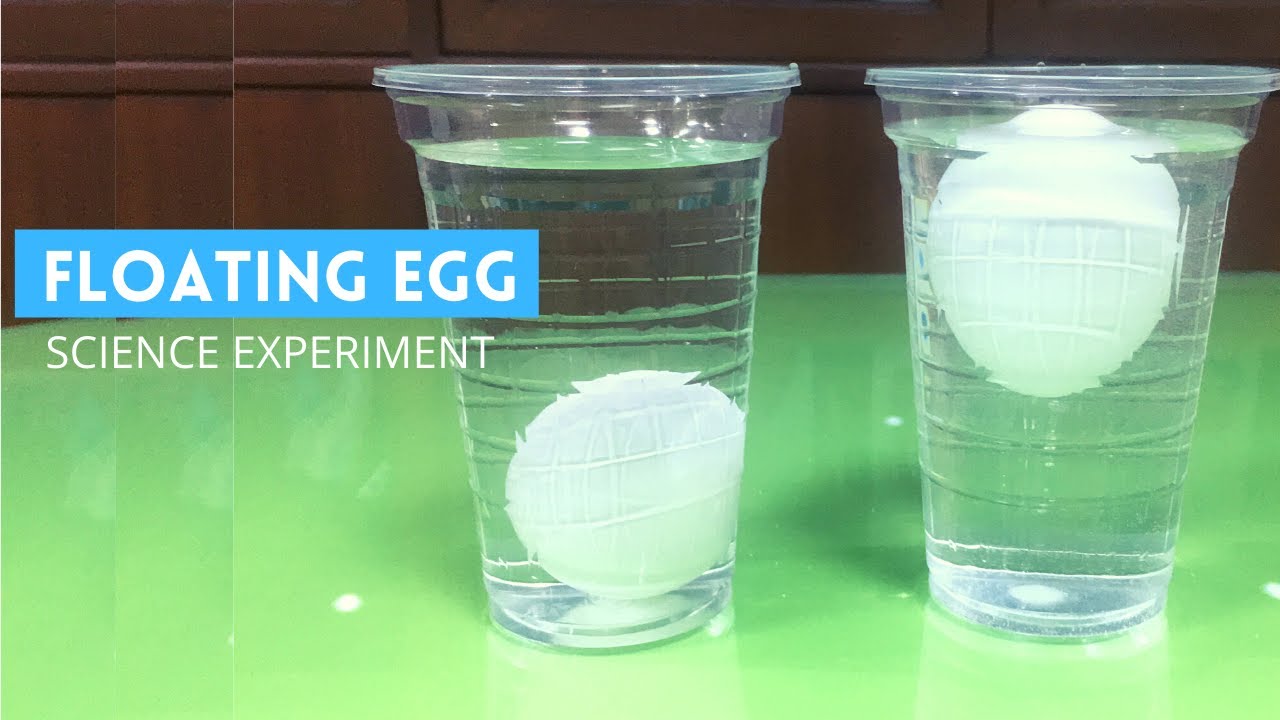 Can salt make an egg float?