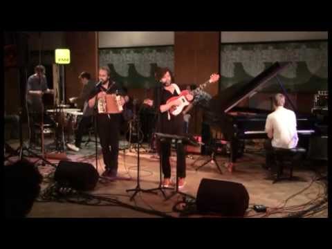 Viech || FM4 Session Live (full) 2013