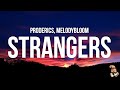 Proderics Strangers Lyrics Feat Melodybloom