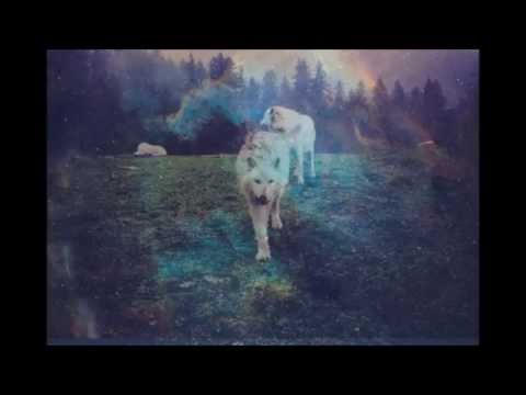 Adhere Twins - Satan Pussy