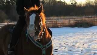 Alan Parsons Project Since the Last Goodbye