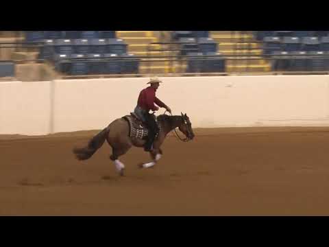 190720 Open Futurity Matt Goodman on Thischicsgonnasmokeya