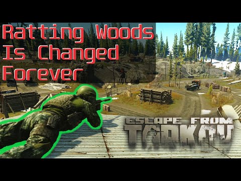 Woods Camping Spots You Need To Know - Escape From Tarkov