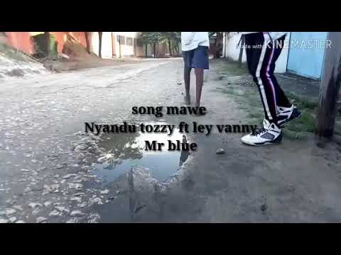 Song mawe nyandu tozzy ft rayvanny Mr blue official video dance